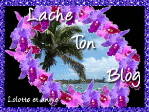 laissez votre adresse blog